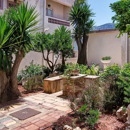 Le Palme